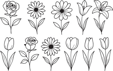 Flower line drawing vector set of rose daisy lily tulip on white background
