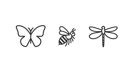 Outline insects