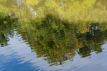 Abstract reflection of trees on the water surface in Park in Pszczyna, Poland
