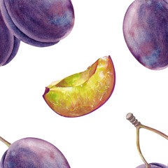 Watercolor seamless drawing with ripe plums and twigs, whole and cut into slices, on a white background. Botanical illustration of fruits for textiles, tableware or packaging.