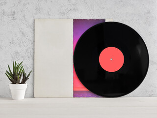 Vinyl record leaning on its cover with a small succulent plant nearby