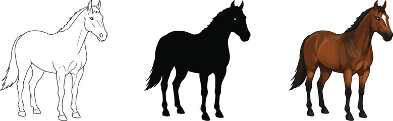 Three diverse horse styles a detailed sketch silhouette and realistic depiction showing different artistic renderings of the majestic equine vector