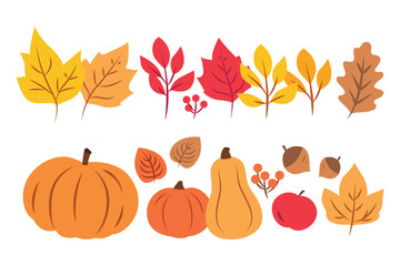 Set of autumn elements pumpkins squash acorns and leaves