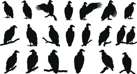 Vulture bird silhouettes collection, perched and flying poses, scavenger bird vector art, wildlife raptor illustrations, black vulture set, animal posture graphic design
