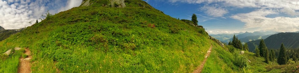 Panoramic view of a serene green hillside under vibrant blue skies