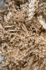 Details Trockenblumenstrauß Weizen