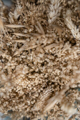 Details Trockenblumenstrauß Weizen
