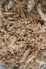 Details Trockenblumenstrauß Weizen