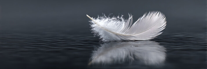 Obraz premium Soft, delicate white feather resting gently on a dark, calm, reflective surface, symbolizing lightness, peace, and emotional tranquility.