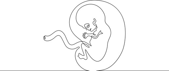 Continuous one line drawing Human embryo. Development of the human fetus. Pregnancy.Line art.One continuous line isolated illustration.Not AI.