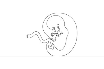 Continuous one line drawing Human embryo. Development of the human fetus. Pregnancy.Line art.One continuous line isolated illustration.Not AI.