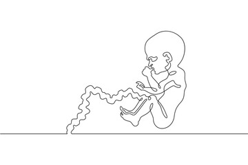 Continuous one line drawing Human embryo. Development of the human fetus. Pregnancy.Line art.One continuous line isolated illustration.Not AI.