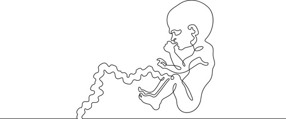 Continuous one line drawing Human embryo. Development of the human fetus. Pregnancy.Line art.One continuous line isolated illustration.Not AI.