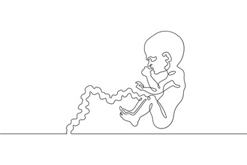 Continuous one line drawing Human embryo. Development of the human fetus. Pregnancy.Line art.One continuous line isolated illustration.Not AI.