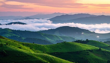 Naklejka premium Aerial View of Rolling Green Hills Under a Cloudy Sunrise Sky with Pink and Purple Hues in a Rural Landscape