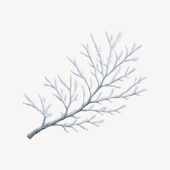 Obraz premium Frosted pine branch winter decoration.