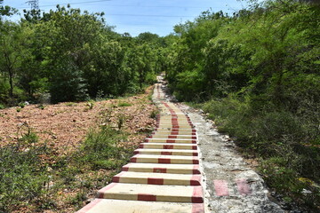beautifull path way image download, natural walking pathway image download.