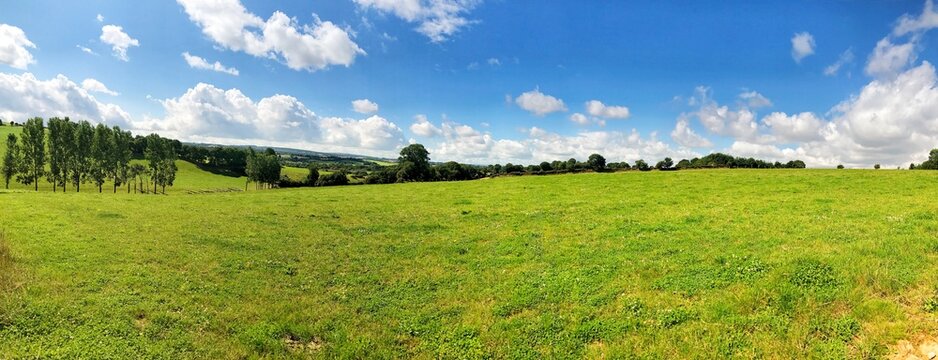 Serene panoramic view of lush green fields under a bright blue sky