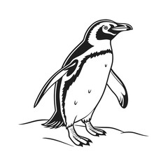 A black and white line drawing of a penguin standing on a rocky surface