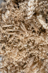 Blüten vor einem cleanen Hintergrund mit Platz für Text