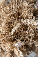 Blüten vor einem cleanen Hintergrund mit Platz für Text