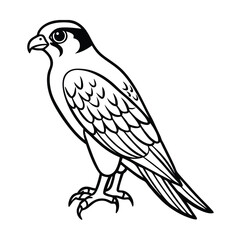 Detailed black and white illustration of a majestic falcon perched and looking alert