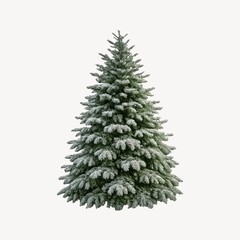 Fototapeta premium Snow-covered evergreen tree illustration.