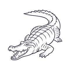 Detailed line drawing of a fierce alligator with its mouth open showing sharp teeth