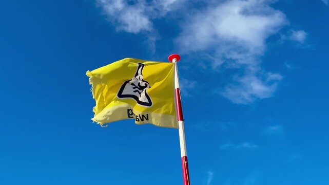 Waving yellow flag with warning sign for swimming in the sea outdoor at daytime with blue sky background in Zandvoort in The Netherlands with space for text.