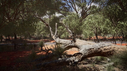 An awe inspiring fallen tree lies on the rich red soil, surrounded by lush green vegetation under a bright blue sky in a serene natural setting. The beauty of nature is wonderfully displayed.