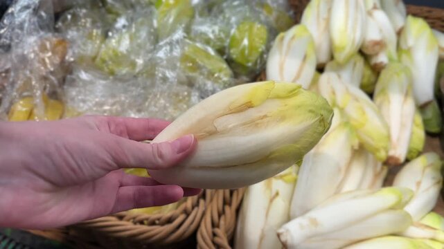 A hand holds an endive at a market