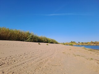 sand dunes on the beach