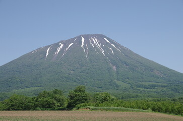 真狩側から見た羊蹄山