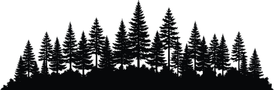 Dense conifer forest silhouette with pine trees on hilly terrain—black and white nature landscape for outdoor, wildlife, and design themes