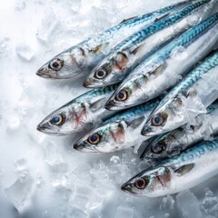 Fresh whole fish on ice, showcasing shiny scales and clear eyes, ideal for seafood cooking or market display.