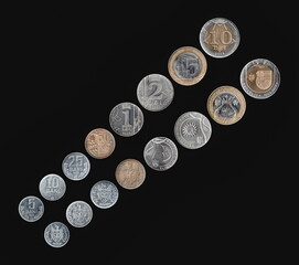 Diagonal arrangement of Moldovan coins from both sides on a black background, featuring denominations of 5, 10, 25, 50 bani and 1, 2, 5, 10 lei, highlighting varied designs and metallic finishes