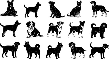 Fototapeta premium Vector, isolated black silhouette of a dog, collection