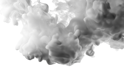 abstract white grey fluffy mist fog smoke curling isolated on white background