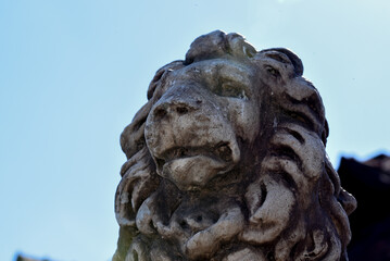 statue of lion
