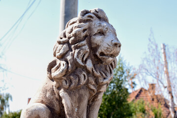 statue of lion