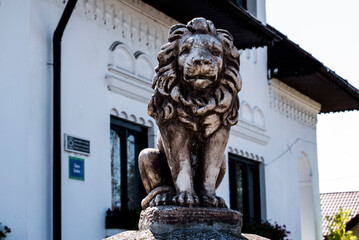 lion statue in budapest