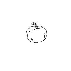Hand drawn abstract vector graphic illustration outline with stylized line halloween autumn pumpkin design .Trendy modern doodle sketch halloween drawing concept.Vector line nature sketch symbol.