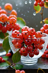Juicy clusters of viburnum, gathered in a transparent glass bowl, with sparkling dew drops on the berries