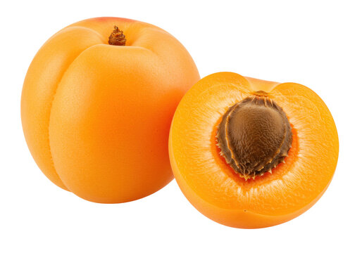 Fresh apricot isolated on transparent background, whole and halved fruit with pit, healthy eating concept, summer harvest, PNG