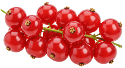 Red currant berries isolated on transparent background, fresh and juicy fruit for healthy eating and summer dessert ingredient