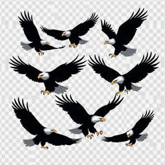 set of  eagle silhouettes