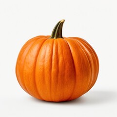 Obraz premium Pumkin vegetable pumpkin plant.