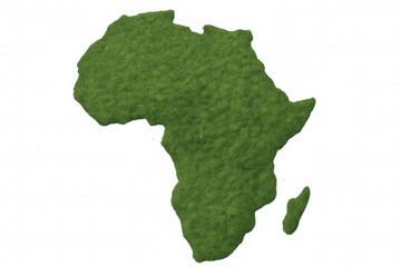 Africa continent map contour covered with green grass, symbolizing ecology, environment, and nature on transparent background