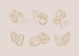 Nuts set almond, cashew, hazelnut, peanut, pistachio, walnut drawing in graphic floral style on beige background