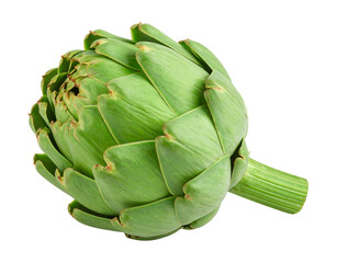 Obraz premium Fresh green artichoke isolated on black background